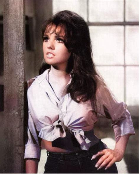 dawn wells sexy pics|Rare Photos of Hot Dawn Wells